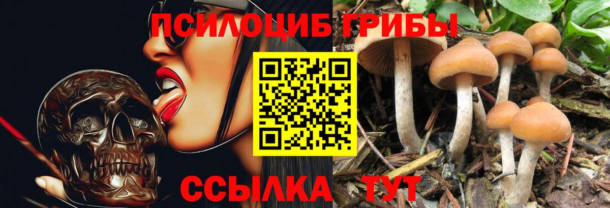 Галлюциногенные грибы GOLDEN TEACHER Лосино-Петровский